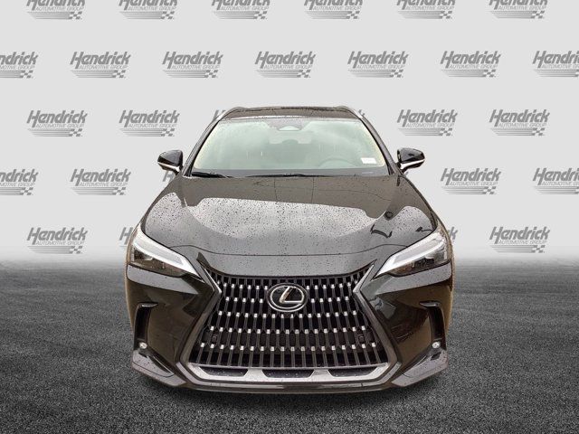 2025 Lexus NX 350h Premium