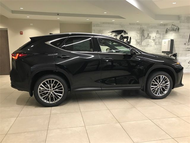 2025 Lexus NX 350h Premium