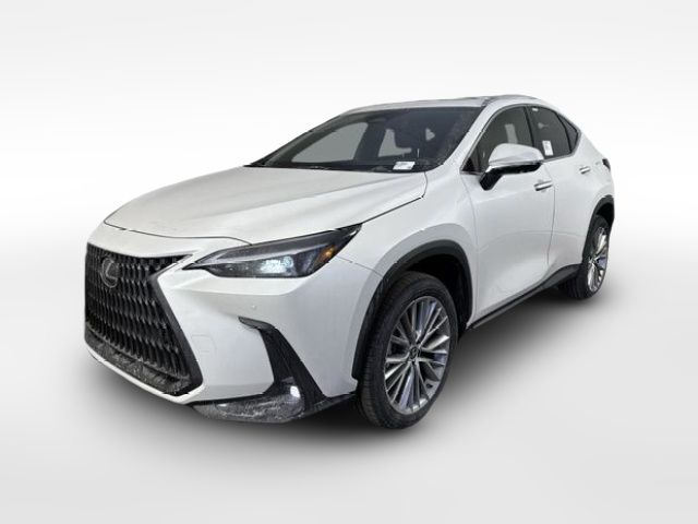 2025 Lexus NX 350h Premium