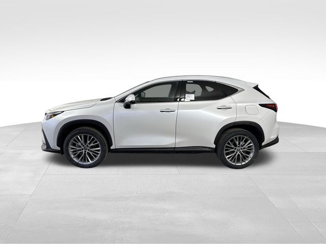 2025 Lexus NX 350h Premium