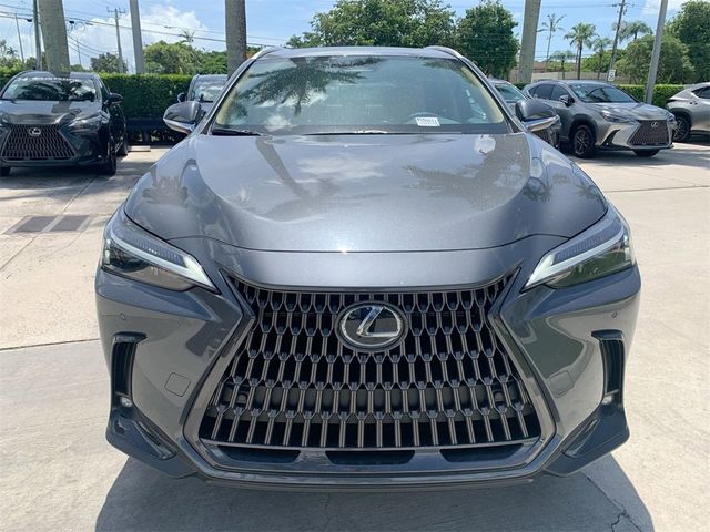 2025 Lexus NX 350h Premium