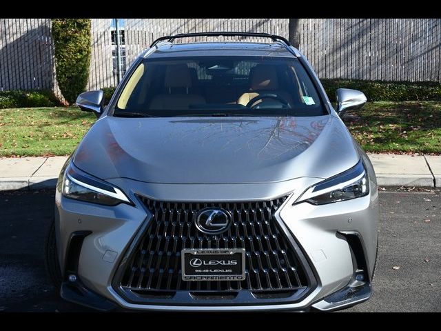 2025 Lexus NX 350h Premium