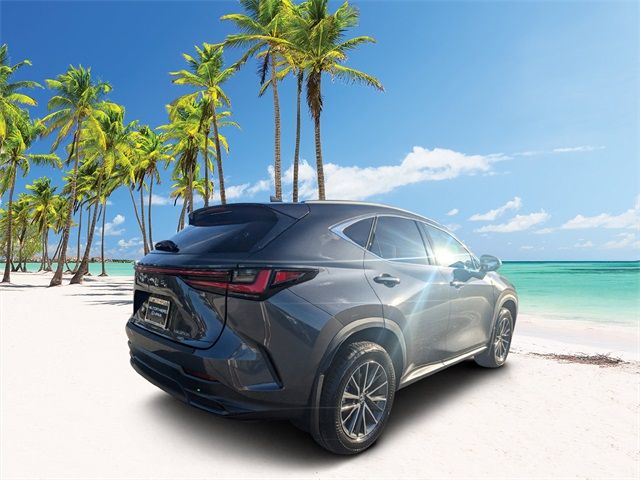 2025 Lexus NX 350h Premium