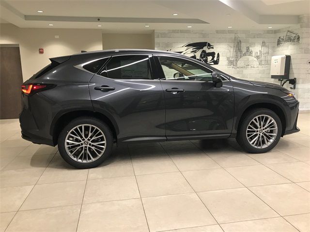 2025 Lexus NX 350h Premium