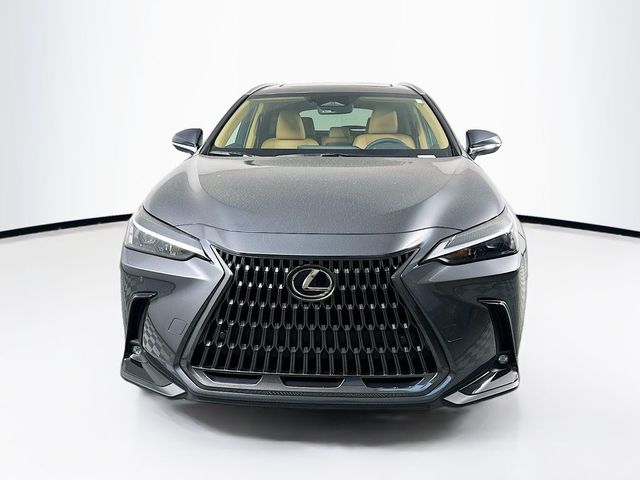 2025 Lexus NX 350h Premium