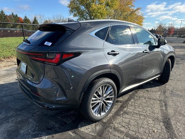 2025 Lexus NX 350h Premium