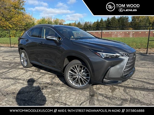 2025 Lexus NX 350h Premium