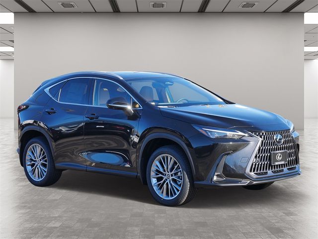 2025 Lexus NX 350h Premium