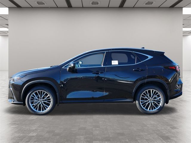 2025 Lexus NX 350h Premium