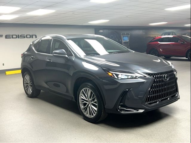 2025 Lexus NX 350h Premium