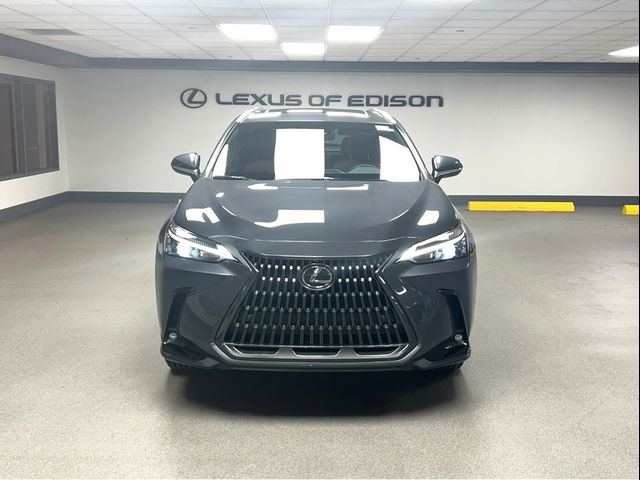 2025 Lexus NX 350h Premium