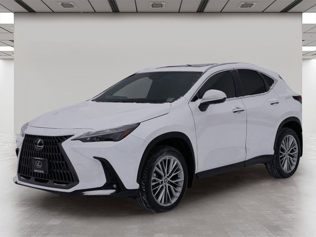 2025 Lexus NX 350h Premium