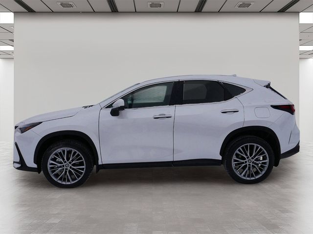 2025 Lexus NX 350h Premium