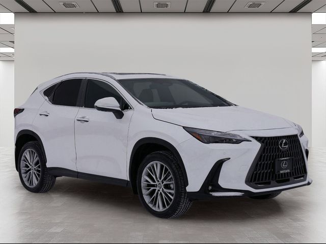 2025 Lexus NX 350h Premium