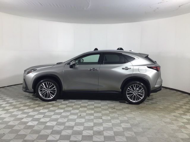 2025 Lexus NX 350h Premium