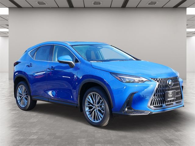 2025 Lexus NX 350h Premium