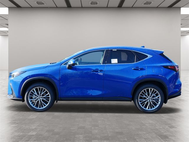 2025 Lexus NX 350h Premium