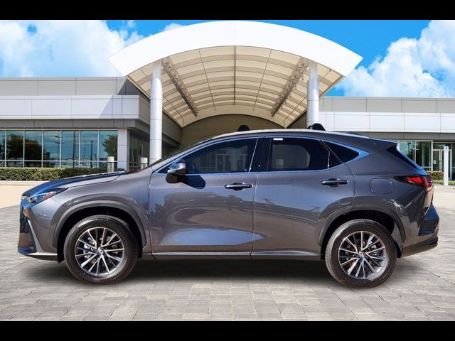 2025 Lexus NX 350h Premium