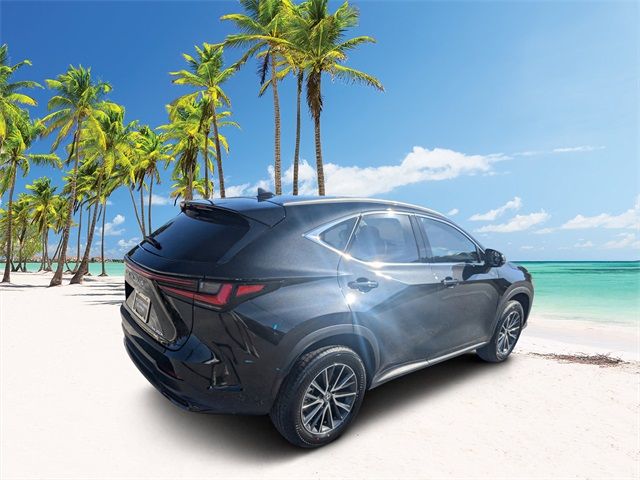 2025 Lexus NX 350h Premium