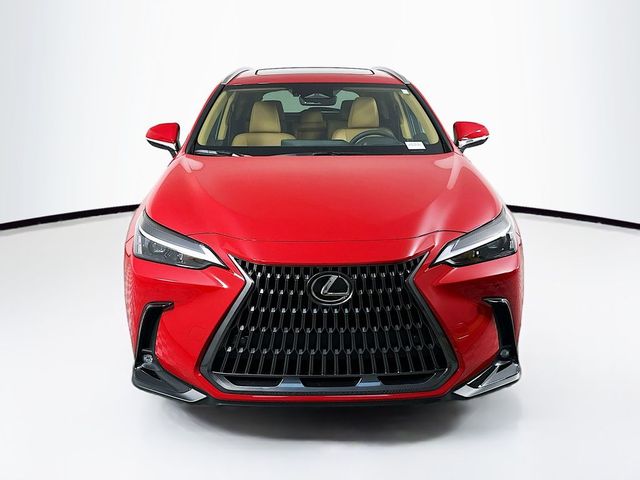 2025 Lexus NX 350h Premium