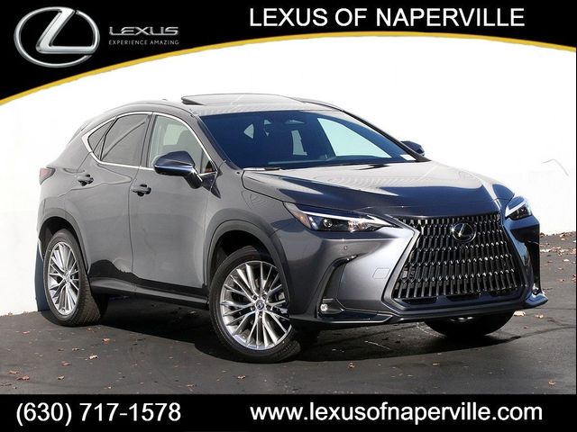 2025 Lexus NX 350h Premium