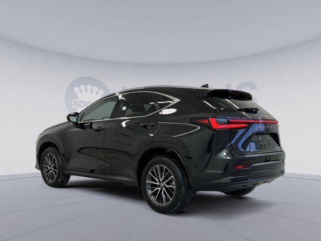 2025 Lexus NX 350h Premium