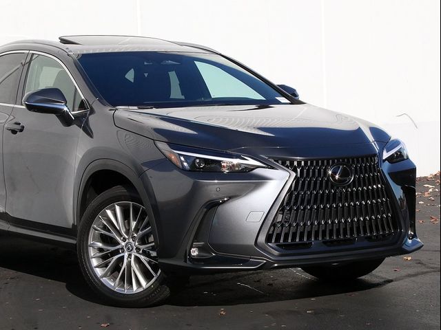 2025 Lexus NX 350h Premium