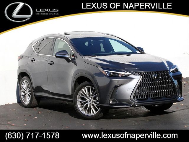 2025 Lexus NX 350h Premium