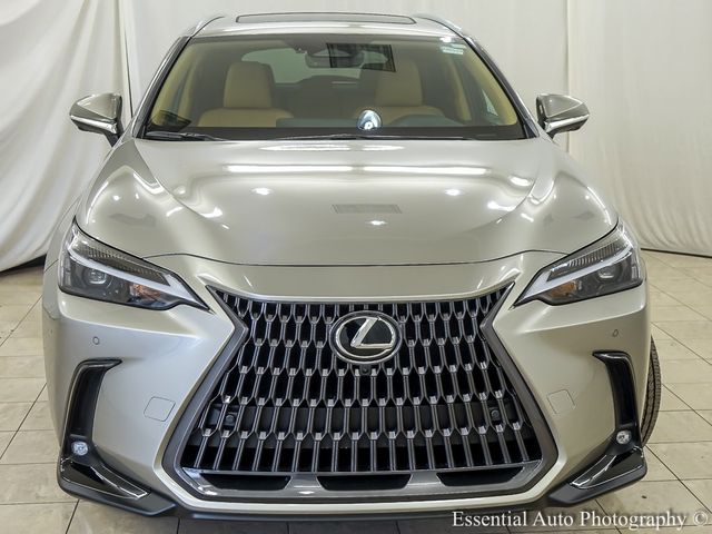 2025 Lexus NX 350h Premium