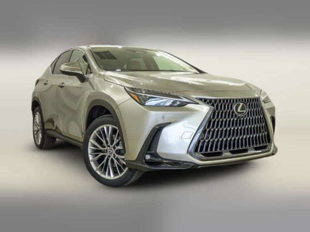 2025 Lexus NX 350h Premium