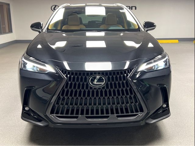 2025 Lexus NX 350h Premium