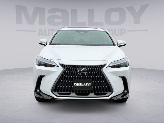 2025 Lexus NX 350h Premium