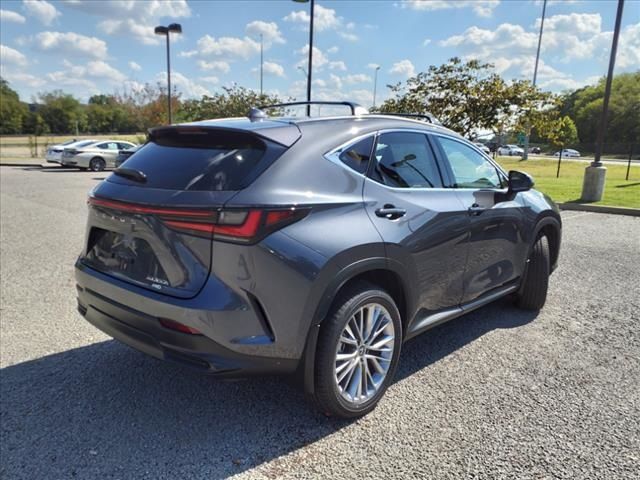 2025 Lexus NX 350h Premium