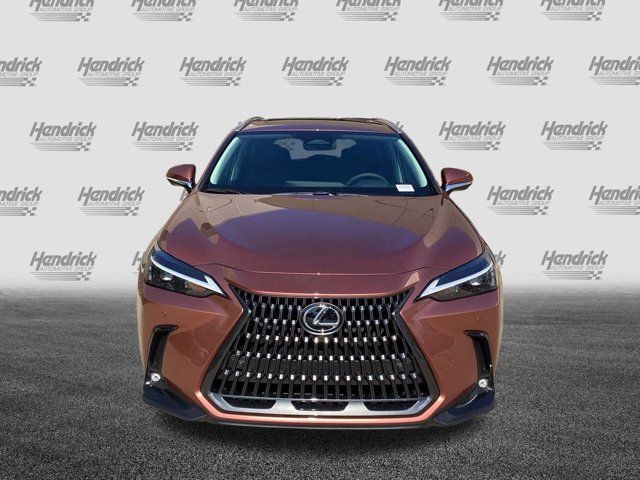 2025 Lexus NX 350h Premium