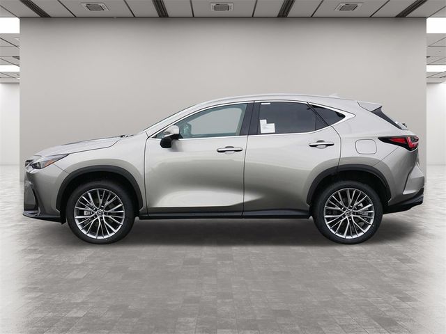 2025 Lexus NX 350h Premium