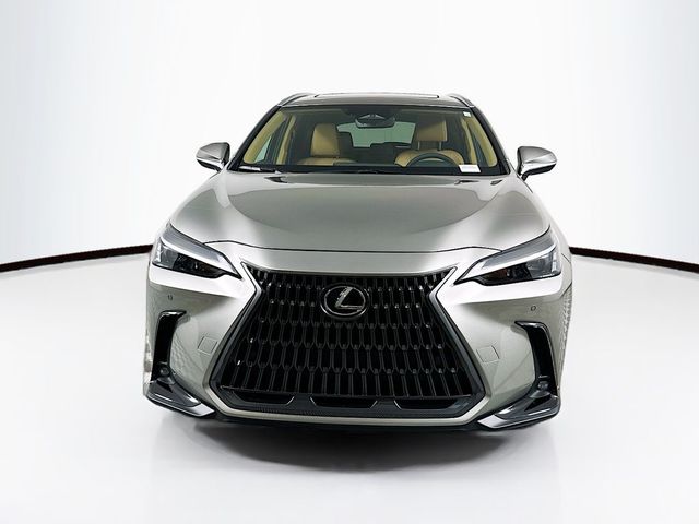 2025 Lexus NX 350h Premium