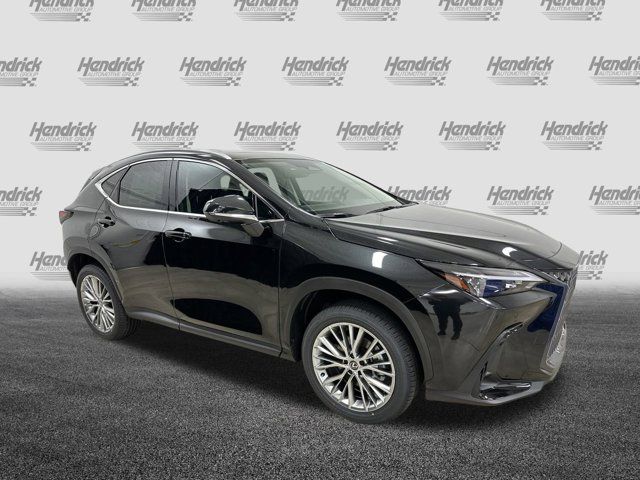 2025 Lexus NX 350h Premium