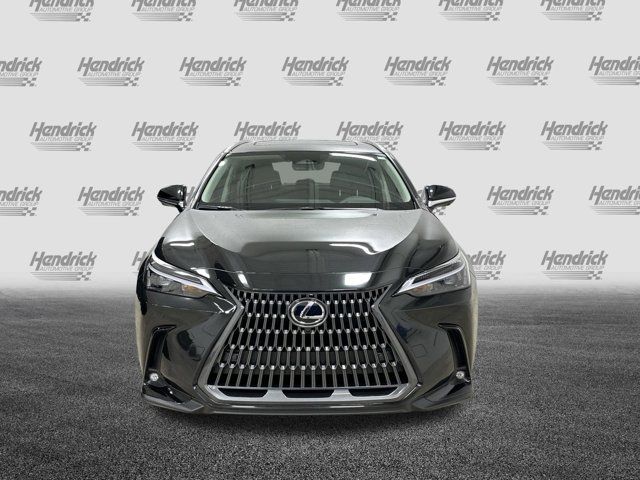 2025 Lexus NX 350h Premium