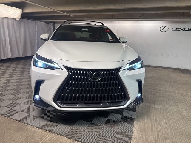 2025 Lexus NX 350h Premium