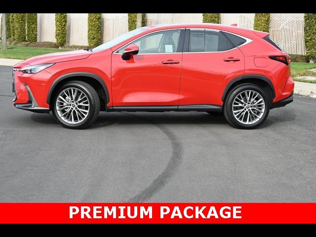 2025 Lexus NX 350h Premium