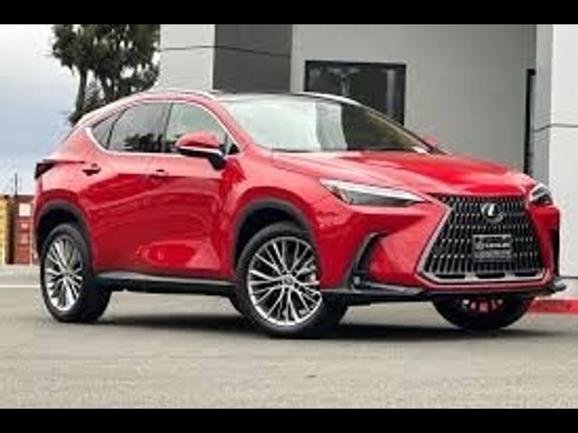 2025 Lexus NX 350h Premium