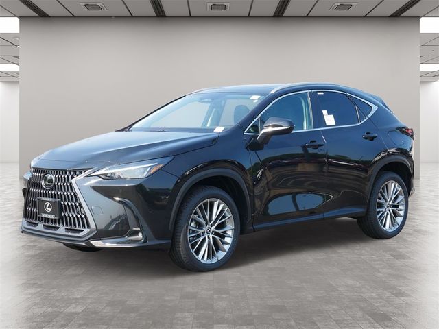 2025 Lexus NX 350h Premium