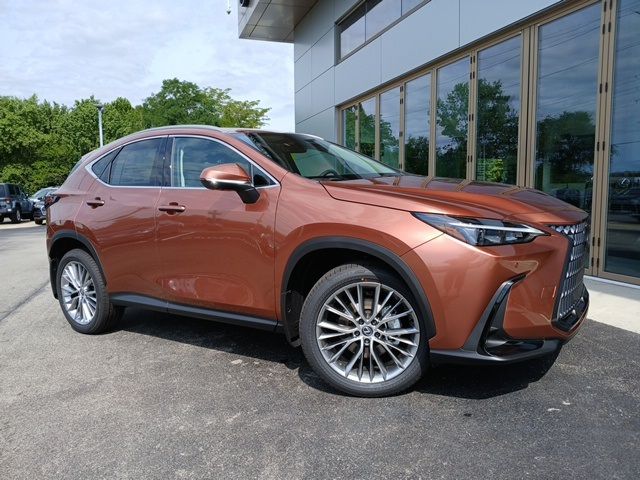 2025 Lexus NX 350h Premium