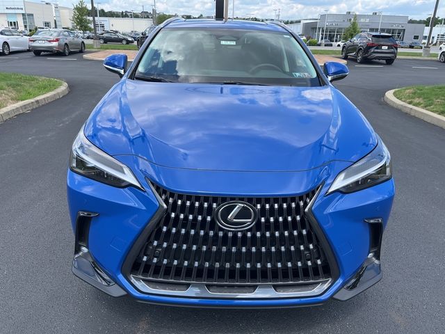 2025 Lexus NX 350h Premium