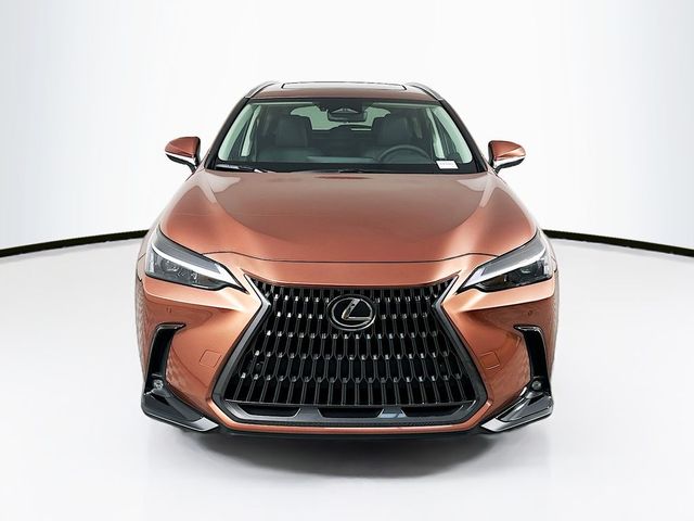 2025 Lexus NX 350h Premium