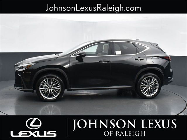 2025 Lexus NX 350h Premium