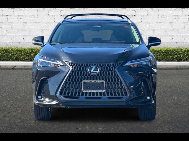 2025 Lexus NX 350h Premium