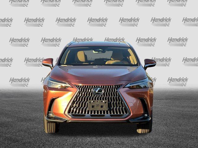 2025 Lexus NX 350h Premium