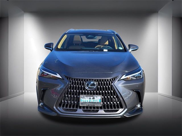 2025 Lexus NX 350h Premium