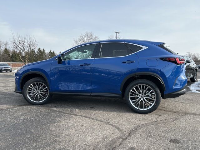 2025 Lexus NX 350h Premium